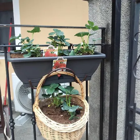 Casavacanzesanremo Casa vacanze *
